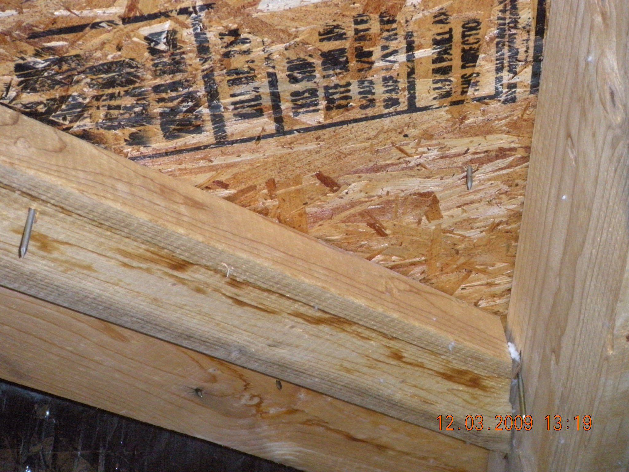 Freedom Home Inspection crawlspace inspection photo 39