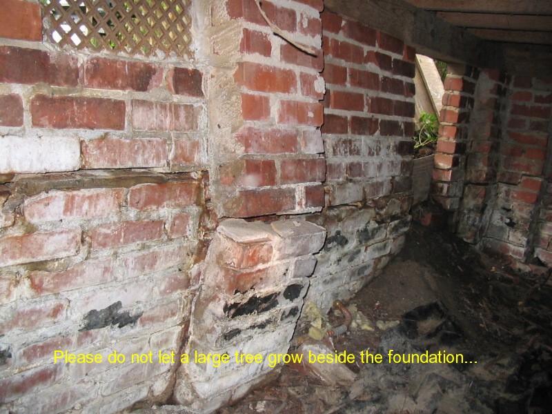 Freedom Home Inspection roof inspection photo 8